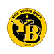 YOUNG BOYS